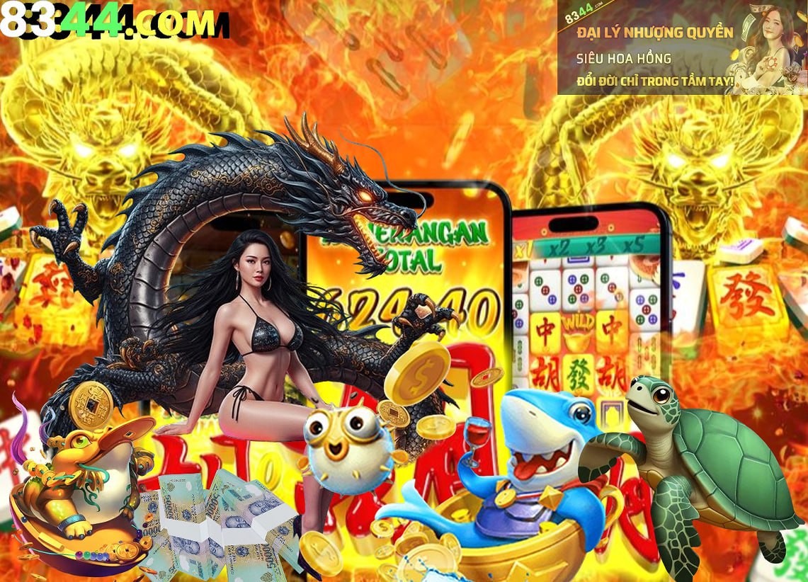 win77