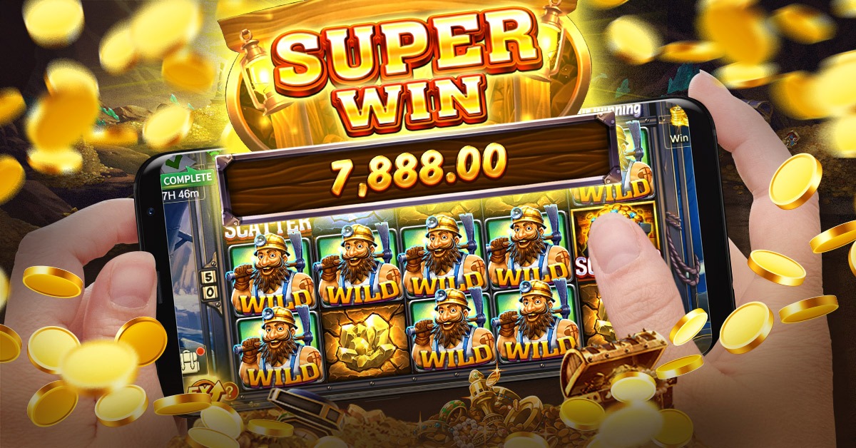win77