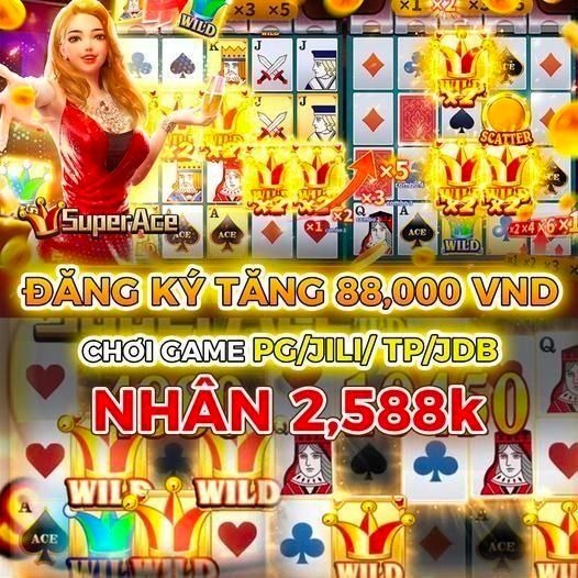 win77